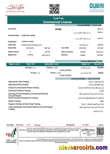 UAE Dubai commercial license, version 2